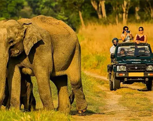 Nainital and Corbett Tour package 