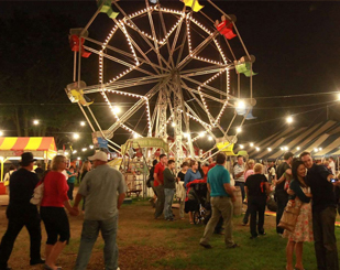 Andaman Holi Special package 