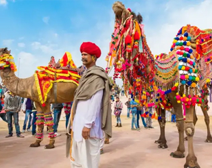 Rajasthan Cultural Tour package 