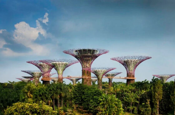 Thrilling Singapore and Malaysia